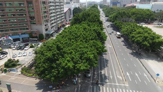 航拍福建泉州城市交通视频车辆行驶