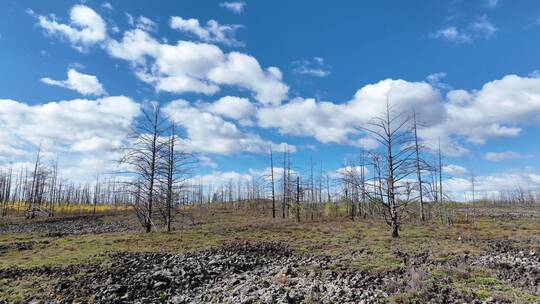 内蒙古达尔滨湖火山熔岩地貌视频素材模板下载