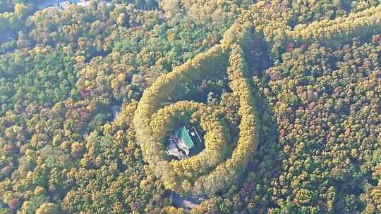 航拍南京钟山美龄宫全景