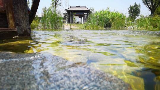 4K昆明池湿地公园清澈见底的水纹素材