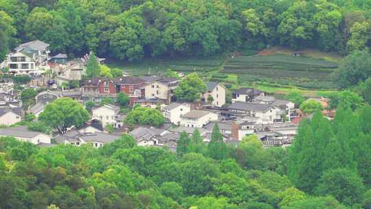 杭州西湖龙井翁家山春天村庄风景