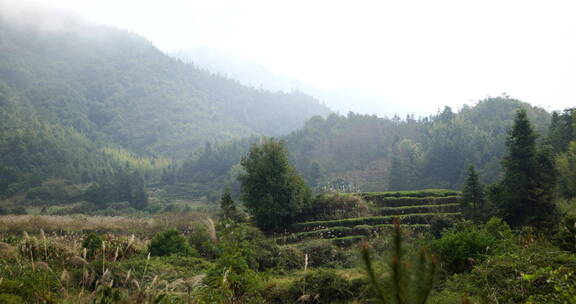 山区美景