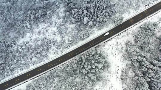 湖北利川冰雪世界里的马路与汽车视频素材模板下载