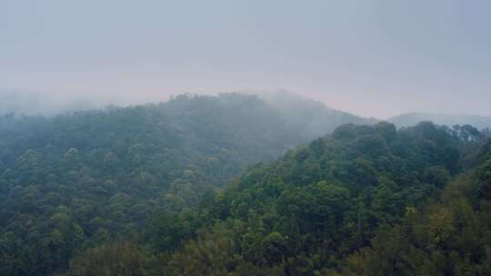 4K 山 雾气 端砚 云雾缭绕 森林云雾大自然