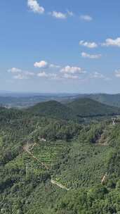 竖屏航拍山川丘陵大山山脉森林植物