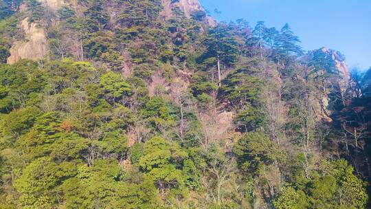 黄山风景区风景视频素材