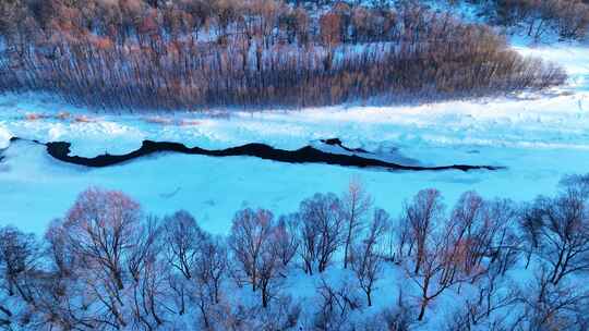 冰雪覆盖的森林湿地景观