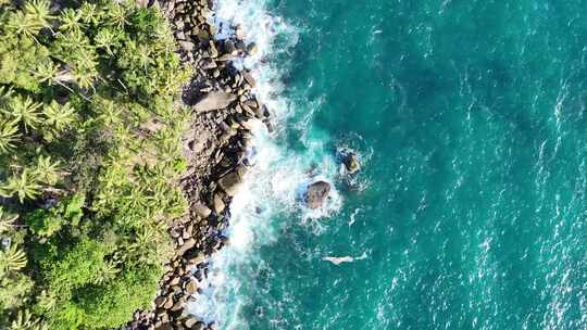 航拍海岸边绿植海水海浪