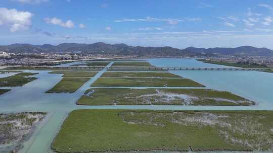 惠州盐洲海洋湿地公园-红树林湿地风光