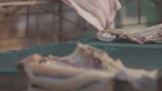 广东雷州晾晒海鲜 制作咸鱼视频素材模板下载