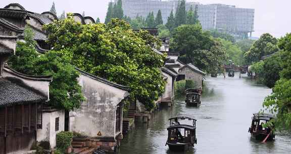 （慢镜）中国江南水乡千年古镇乌镇下雨天