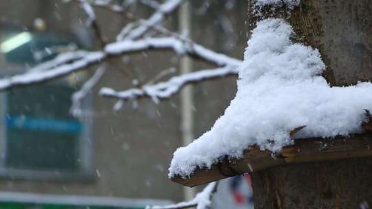 雪景飘雪鹅毛大雪