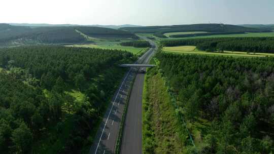 穿过大兴安岭林区田野的高速公路