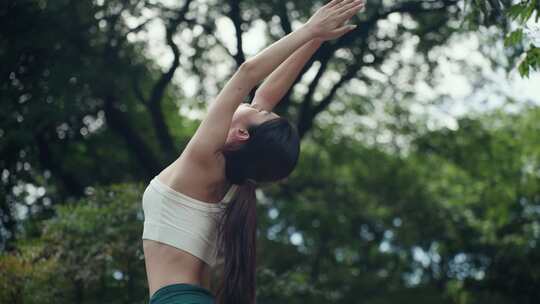 树林阳光美女晨练瑜伽户外瑜伽