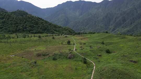 草原景区风景航拍高山森林