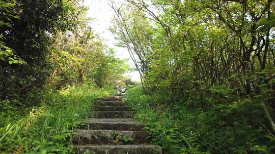 南岳衡山登山阶梯第一视角