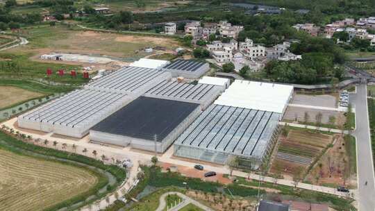 农业大棚航拍全景
