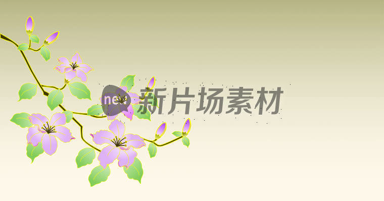 中国风国潮紫荆花插画