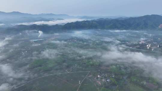 海南春茶花园航拍视频素材模板下载