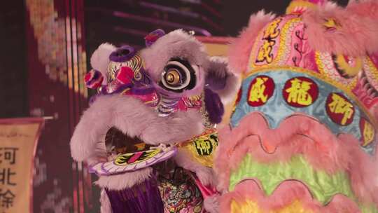 喜庆祥和的舞狮表演