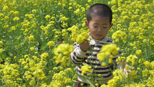 春天中国女性和小朋友在油菜花田地中玩耍