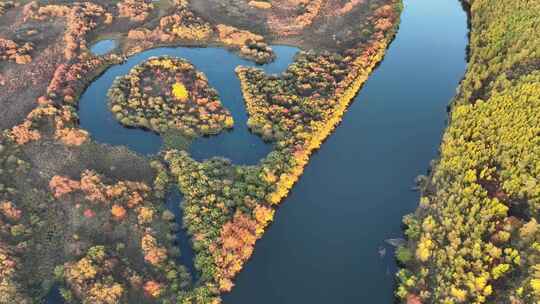 航拍额尔古纳国家湿地公园景区秋季自然风光视频素材模板下载