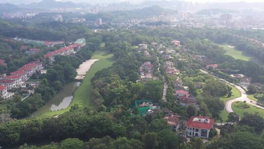 航拍深圳龙华区观澜湖高尔夫