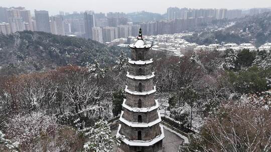 冬天白雪郴州南塔公园风光视频素材模板下载