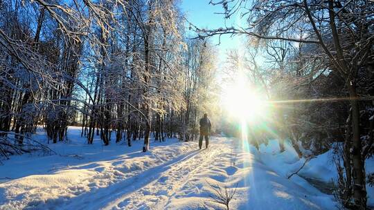 日出男人迎着阳光走在森林雪地中脚步坚韧