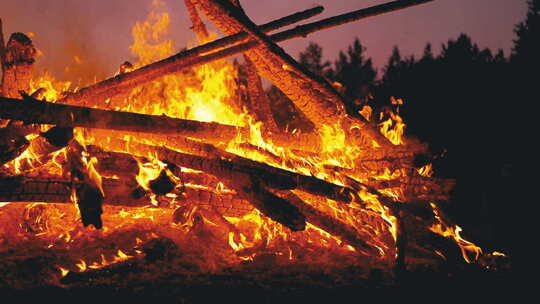 森林中晚上燃烧的原木大篝火。180 Fp