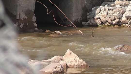 排水渠黄河大桥视频素材模板下载