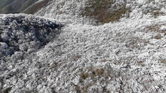 江南杭州鸬鸟山雪景雾凇奇观航拍