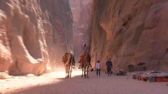 行走在峡谷间的骆驼视频素材模板下载