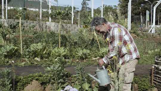 一位老人在花园里给植物浇水