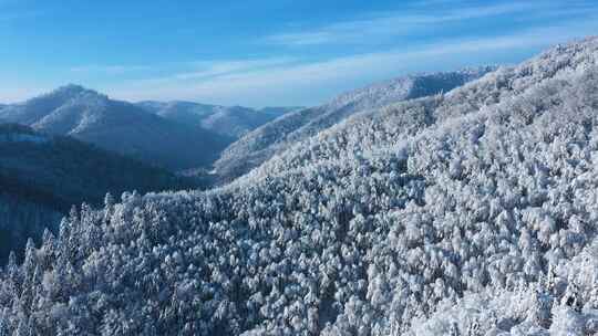 航拍森林雪景下雪冬季风景大雪小雪大寒小寒