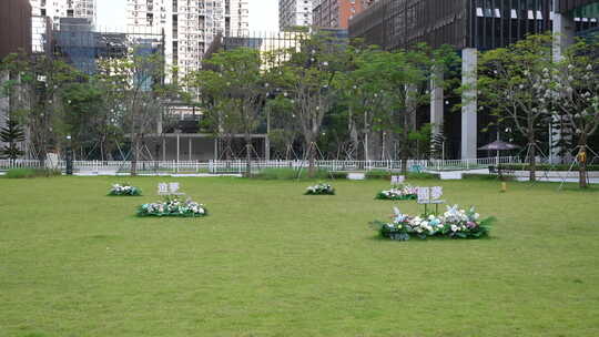 城市中草坪花卉景观