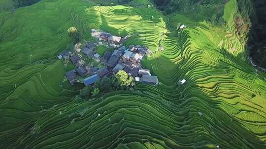 航拍贵州加榜梯田夏季稻田风光