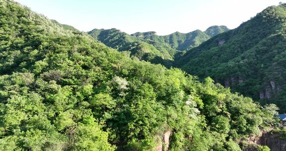 洛阳龙潭大峡谷旅游生态森林河流航拍景点