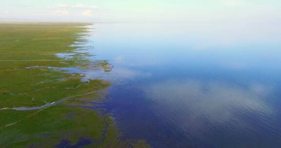 青海湖 湿地 航拍 湖水 湖泊 美丽的 美景