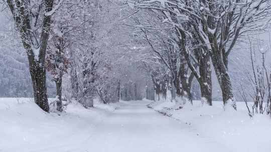 冬天道路积雪