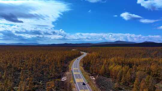 汽车行驶在在秋天的大兴安岭阿尔山