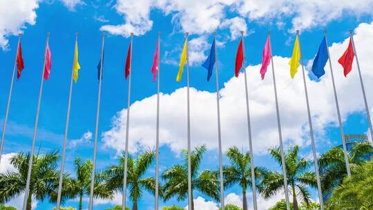 南宁国际会展中心广场的一排旗杆彩旗飘飘视频素材模板下载