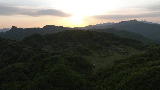 高山草原牛羊牧业森林氧吧大自然风光