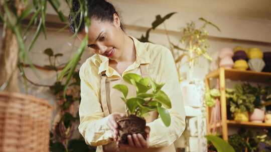 女人，花店，植物园，植物