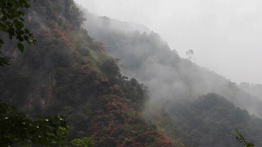 山岚秋雨延时腾云驾雾