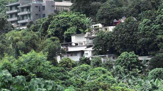 香港城市人文