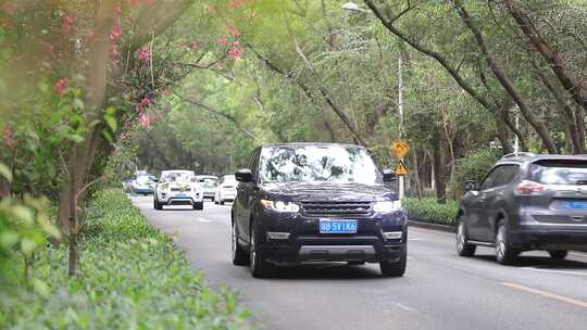 开满鲜花的公路，深圳香山中街车流