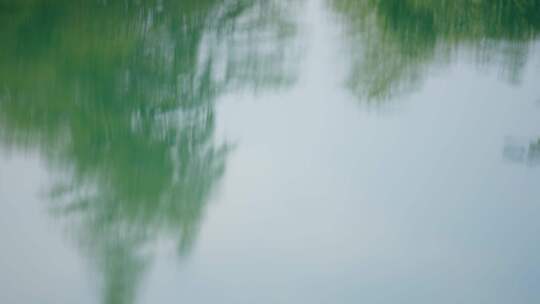 唯美天空树叶水波纹倒影水中湖面树影4k超清