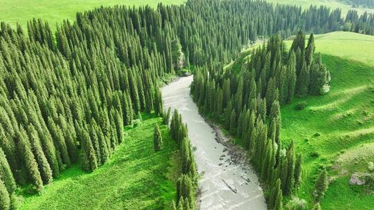 航拍绿色森林河流大自然风景