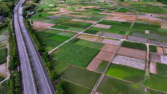 乡村公路绿油油的稻田